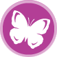 pink-icon.png